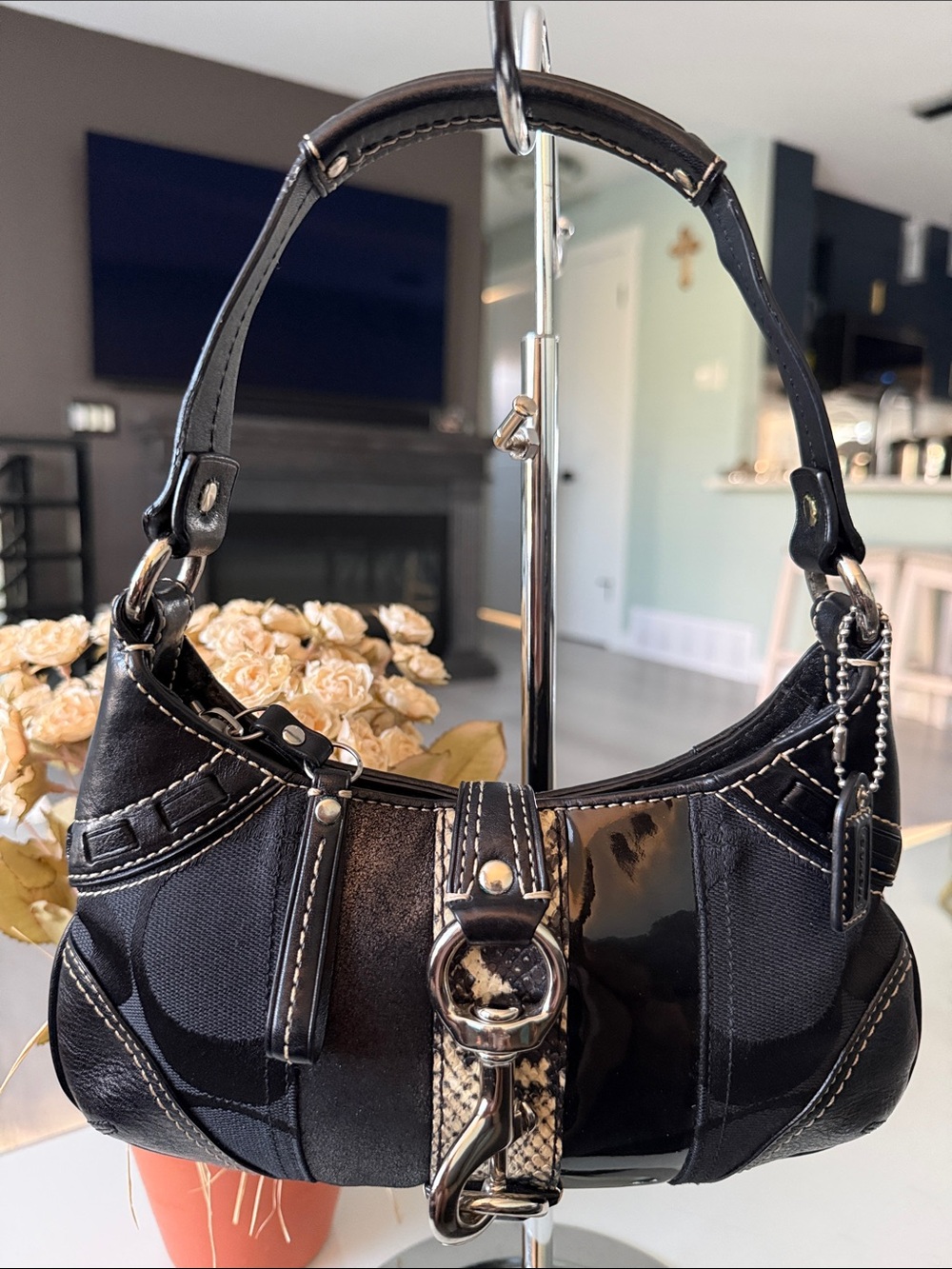 2006 Coach Hamptons Signature Python Mini Hobo